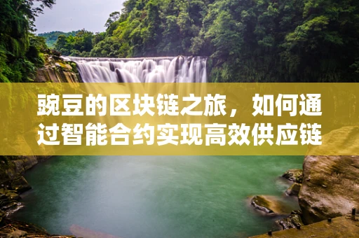 豌豆的区块链之旅，如何通过智能合约实现高效供应链管理？