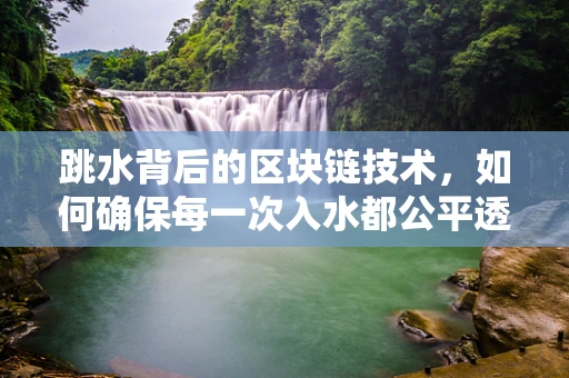 跳水背后的区块链技术，如何确保每一次入水都公平透明？
