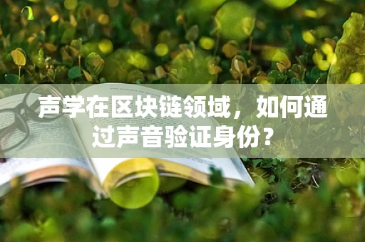 声学在区块链领域，如何通过声音验证身份？