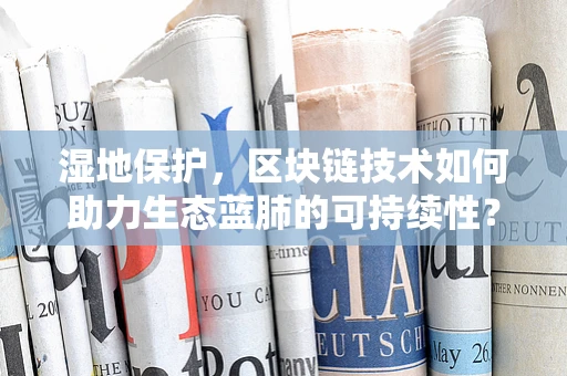 湿地保护，区块链技术如何助力生态蓝肺的可持续性？