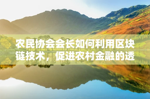 农民协会会长如何利用区块链技术，促进农村金融的透明与安全？