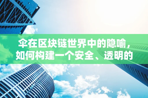 伞在区块链世界中的隐喻，如何构建一个安全、透明的伞形网络？
