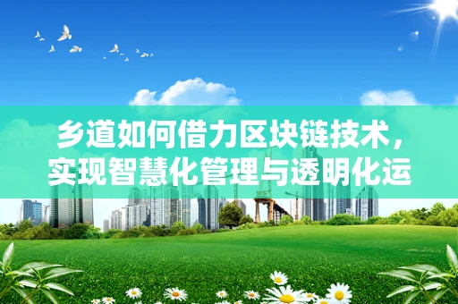 乡道如何借力区块链技术，实现智慧化管理与透明化运营？