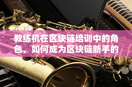 教练机在区块链培训中的角色，如何成为区块链新手的翅膀？