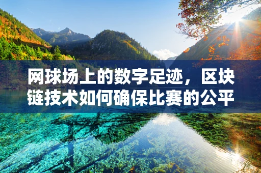 网球场上的数字足迹，区块链技术如何确保比赛的公平与透明？