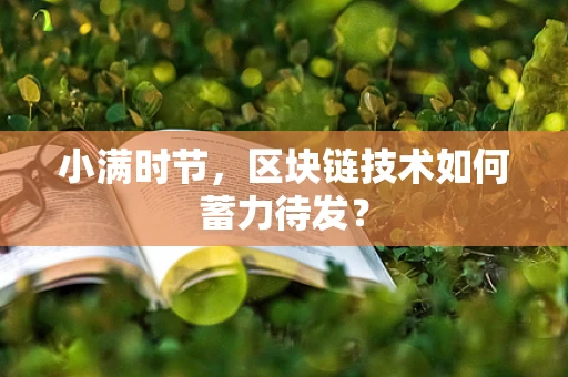 小满时节，区块链技术如何蓄力待发？