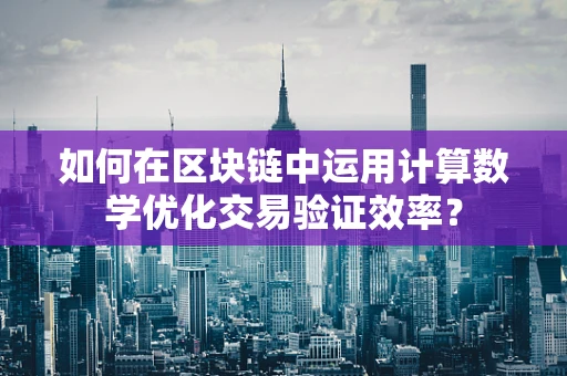 如何在区块链中运用计算数学优化交易验证效率？