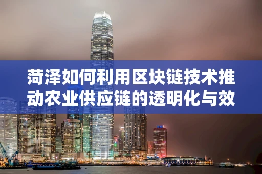 菏泽如何利用区块链技术推动农业供应链的透明化与效率提升？