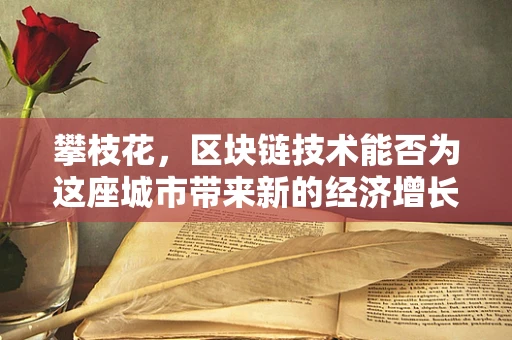 攀枝花，区块链技术能否为这座城市带来新的经济增长点？