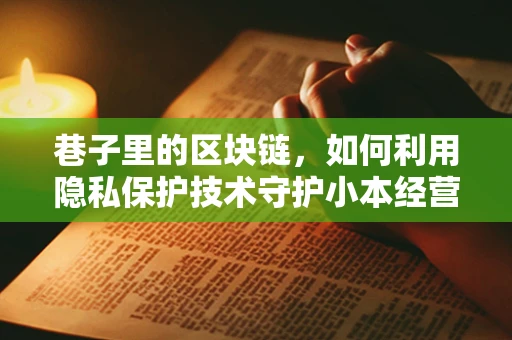 巷子里的区块链，如何利用隐私保护技术守护小本经营的秘密？