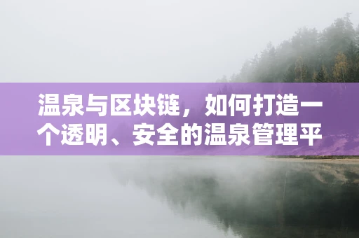 温泉与区块链，如何打造一个透明、安全的温泉管理平台？