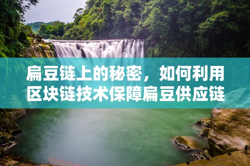 扁豆链上的秘密，如何利用区块链技术保障扁豆供应链的透明与安全？