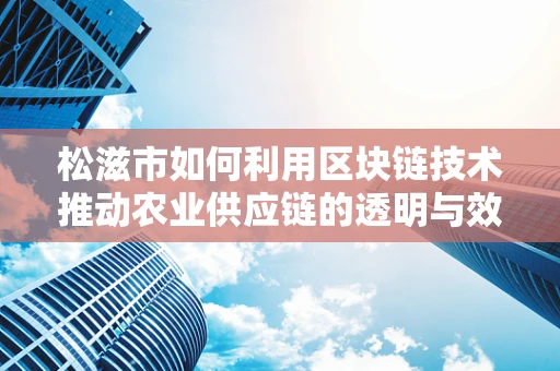 松滋市如何利用区块链技术推动农业供应链的透明与效率？