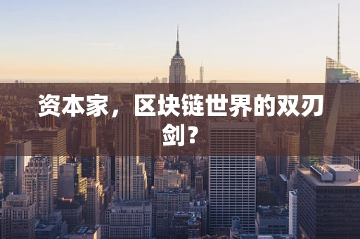 资本家，区块链世界的双刃剑？