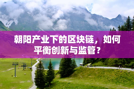 朝阳产业下的区块链，如何平衡创新与监管？