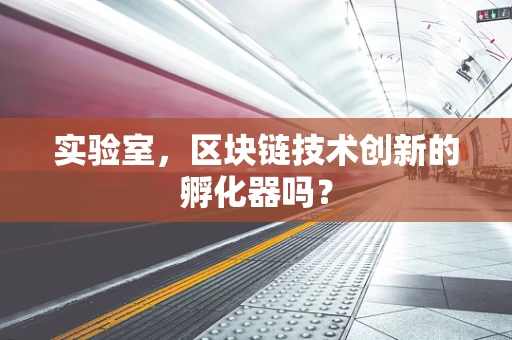 实验室，区块链技术创新的孵化器吗？