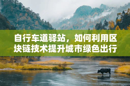 自行车道驿站，如何利用区块链技术提升城市绿色出行体验？