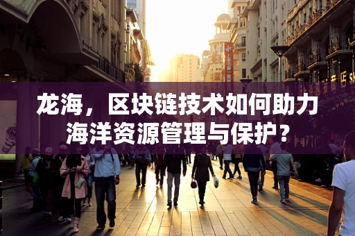 龙海，区块链技术如何助力海洋资源管理与保护？