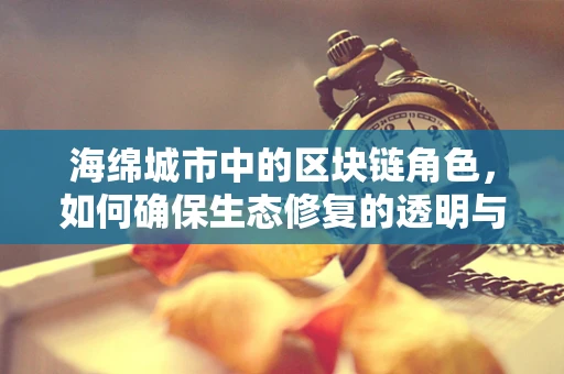海绵城市中的区块链角色，如何确保生态修复的透明与高效？