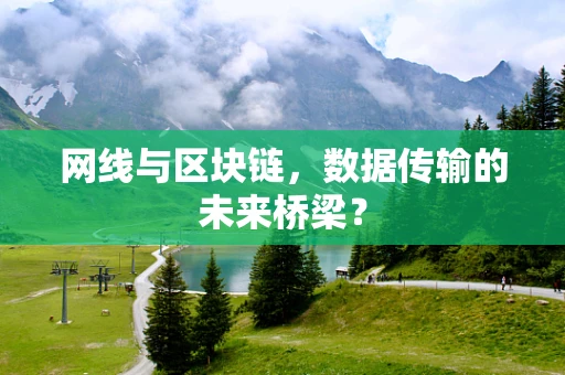网线与区块链，数据传输的未来桥梁？