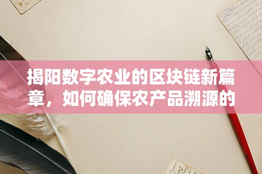 揭阳数字农业的区块链新篇章，如何确保农产品溯源的真实性与透明度？