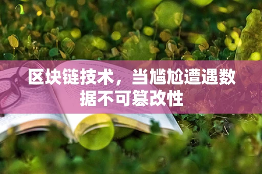 区块链技术，当尴尬遭遇数据不可篡改性
