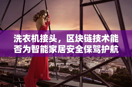 洗衣机接头，区块链技术能否为智能家居安全保驾护航？