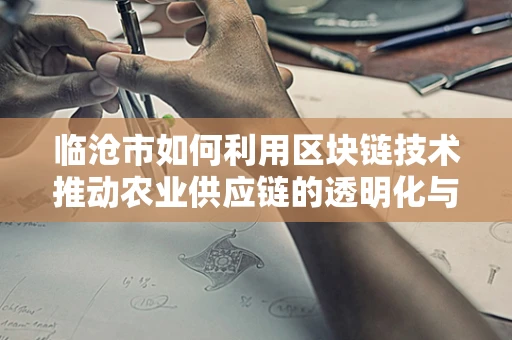 临沧市如何利用区块链技术推动农业供应链的透明化与效率？