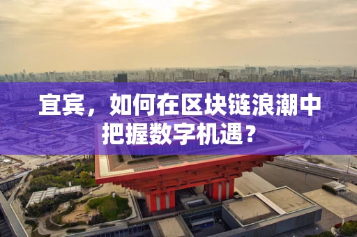 宜宾，如何在区块链浪潮中把握数字机遇？