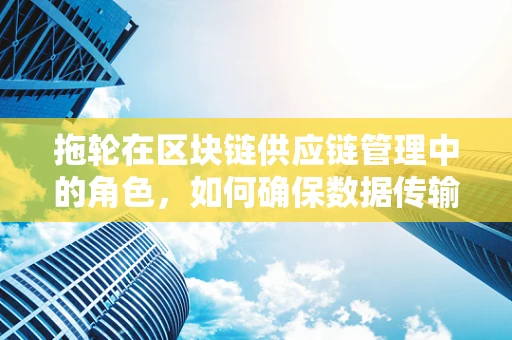 拖轮在区块链供应链管理中的角色，如何确保数据传输的可靠与安全？