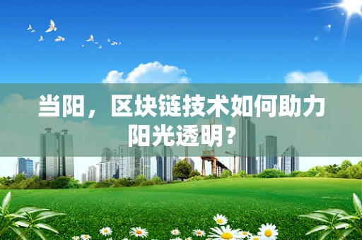 当阳，区块链技术如何助力阳光透明？