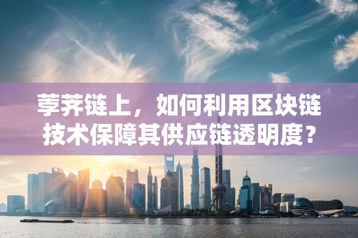 荸荠链上，如何利用区块链技术保障其供应链透明度？