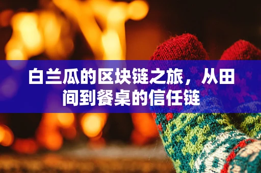 白兰瓜的区块链之旅，从田间到餐桌的信任链
