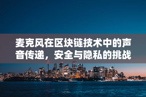 麦克风在区块链技术中的声音传递，安全与隐私的挑战与对策