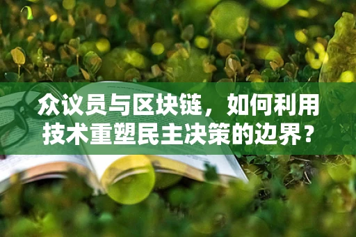 众议员与区块链，如何利用技术重塑民主决策的边界？