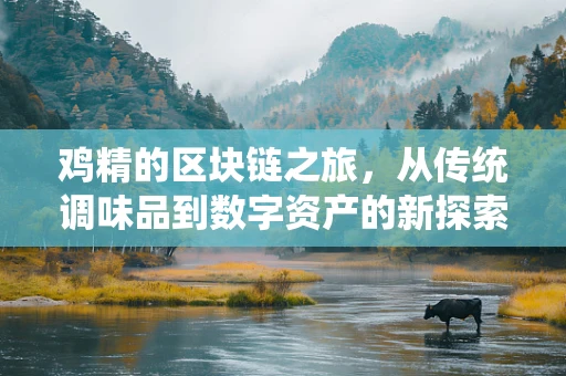 鸡精的区块链之旅，从传统调味品到数字资产的新探索？