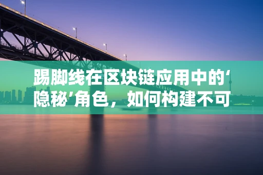 踢脚线在区块链应用中的‘隐秘’角色，如何构建不可篡改的数字资产边界？