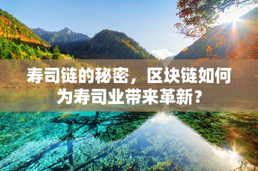 寿司链的秘密，区块链如何为寿司业带来革新？