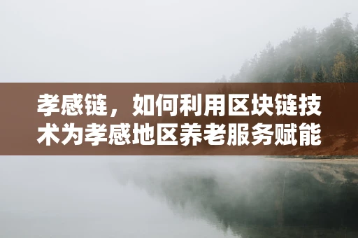 孝感链，如何利用区块链技术为孝感地区养老服务赋能？