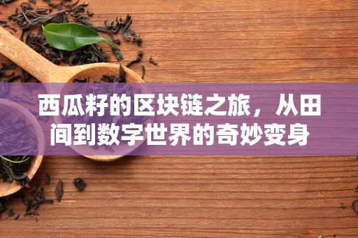 西瓜籽的区块链之旅，从田间到数字世界的奇妙变身