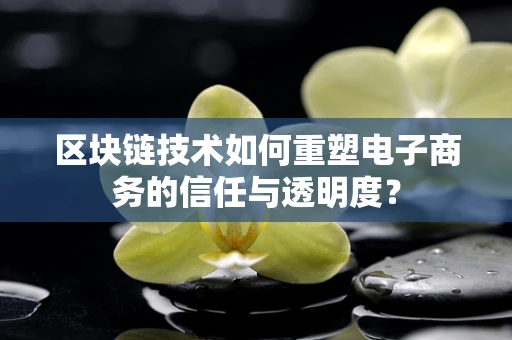 区块链技术如何重塑电子商务的信任与透明度？