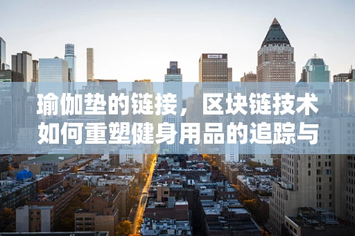 瑜伽垫的链接，区块链技术如何重塑健身用品的追踪与认证？