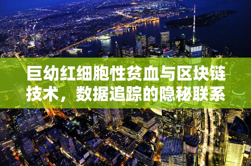 巨幼红细胞性贫血与区块链技术，数据追踪的隐秘联系