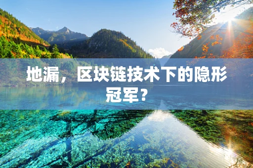 地漏，区块链技术下的隐形冠军？