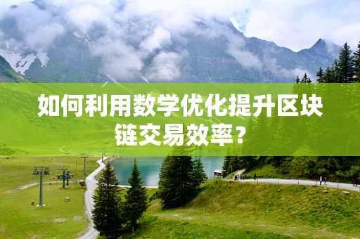 如何利用数学优化提升区块链交易效率？