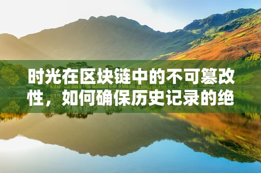时光在区块链中的不可篡改性，如何确保历史记录的绝对安全？