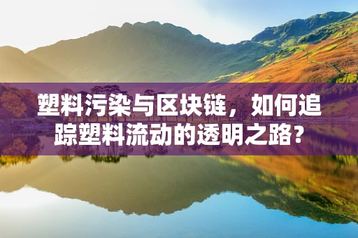 塑料污染与区块链，如何追踪塑料流动的透明之路？