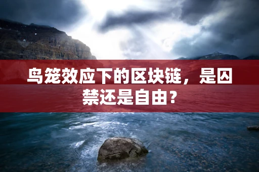 鸟笼效应下的区块链，是囚禁还是自由？