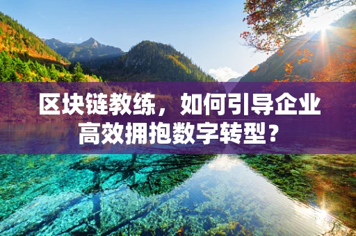 区块链教练，如何引导企业高效拥抱数字转型？