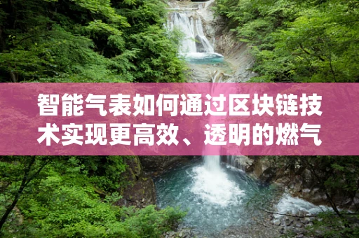 智能气表如何通过区块链技术实现更高效、透明的燃气管理？